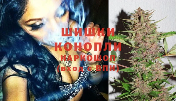 сатива Нязепетровск