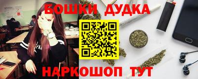 МДПВ Гатчина