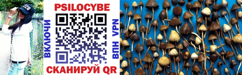 купить   ОМГ ОМГ ТОР  Галлюциногенные грибы мицелий  Кольчугино 