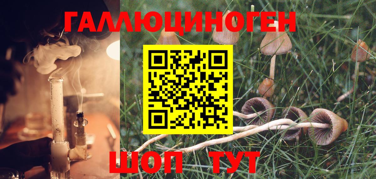 Кольчугино  Галлюциногенные грибы GOLDEN TEACHER  Вход с VPN 