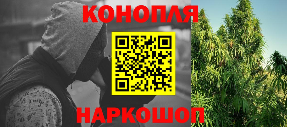 Кольчугино  Конопля планчик  Канабис SATIVA & INDICA  Каннабис тримм  Вход с VPN 